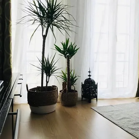 Mariahouse Distretto di Faro